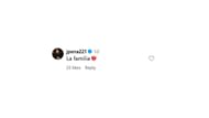 Jeremy Pena's comment on Julia Grosso's Instagram post (Source: Instagram @juliagrosso7)
